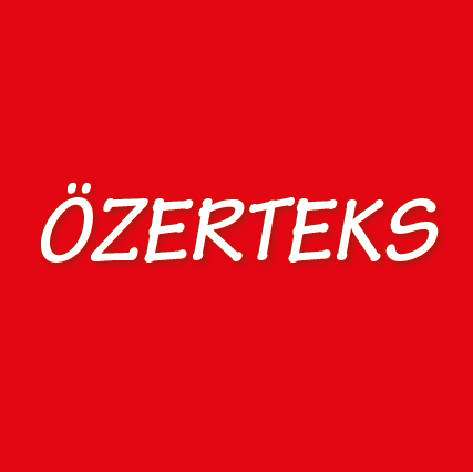 Özerteks logo